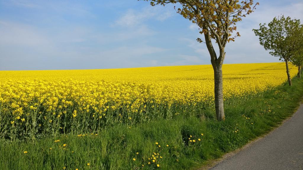 Ferien An Der Ostsee Thomsdorf  Kültér fotó